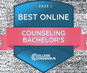 2023 Best Online Counseling Degree Programs | Rankings